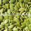 Shine Skin Pumpkin Seeds Kernels, grade A