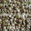 2016 crop organic hemp seeds