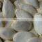 Pumpkin Seeds Sunflower Seeds Flaxseeds for sale