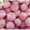 Yantai Fresh Red Fuji Apple