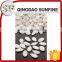 China supplier adenium snow white pumpkin seeds