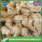 DRY GINGER