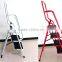 4 Steps ladder with side rail retractable ladder