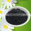 Granular Coconut Shell Activated Carbon for Paper Chemicals