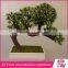 Home decoration artificial bonsai plants indoor plants supply