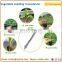 vegetable seedling transplanting machine