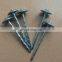 Hot sale galvanized umbrella roofing nail 2.5" china supplier umbrella head