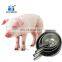 Pig drinker in animal drinkers SS 304 for pig farm equipment
