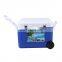 Outdoor Camping Food Cooling Storage Insulated Plastic Ice Chest Cooler Box 50L