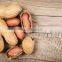 Peanuts wholesale peanuts with best price/High quality new 2021 dried shelled peanuts for food from Vietnam