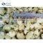 Sinocharm Bulk Frozen 3-5cm Vegetables Cauliflower