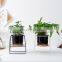 High Quality Garden Indoor De Fleurs Flower Decor Ceramic Plants Planter White Pot Stand Metal Pot Plant Pots