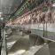 Good price chicken slaughter machine Line abattoir equipment