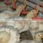 Automatic poultry nipple drinking system