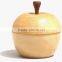 Apple Toy Toothpick Storage Boxes Wooden Toothpick Holder