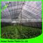 china manufacture offer green mesh netting for greenhouse agricultural used shade net