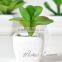 High quality best price artificial succulent plant for decoration