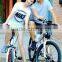 Direct Factory haoling orginal design Seagull electric bicycle with kit