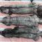 Wholesale Natural Color Raw Silver Fox Fur Skin / Real Pelt For Garment