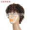 light brown Afro Short Curly Synthetic Wig, Short Hair Wig, Rainbow Wig                        
                                                Quality Choice