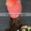 High quality winter knit hat with raccoon fur ball on the top/fashion knitted fur hat