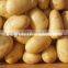 supply fresh vegetables ,high quality fresh potatoes for sale