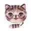 2016 New Coin Purses Ladies 3D Printing Cute Cat Wallets Small Zipper Change Cion Purses