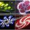2015 New Product 1200W LED Spot Moving Head Robe Stage Light