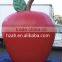Giant Inflatable Red Apple Balloon for Advertising Decoration