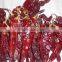 Chilli products