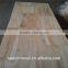jointed board paulownia for door