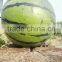 Hybrid F1 Watermelon Seeds Jia Mi No.1
