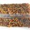 Chinese	brine nameko mushroom nameko mushroom in brine sale	marinated canned mushroom