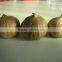 healthy Yuyuan black garlic from Japanese