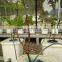 Expanded Clay for hydroponics and gardening