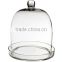 Glass Cloche Bell Jar, 16" Cloche Bell Plant Terrarium