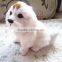 garden decorations furry dog real taxidermy