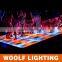 Wedding Led Starlit Dancefloor LED Light Source and CE,RoHS Certification