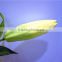 Home garden creepers decoration 110cm Height artificial yellow 2 flowers 2 bud Lily making EBHH04 2212