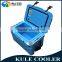 PP Material and Cans Use vaccine transport cooler box
