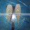 HACCP,QS Certification Frozen Illex Squid Tube