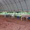 Livestock Shelter , Cattle Shed , Goat Shelter ,CAR SHELTER , STORAGE TENT