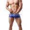 1 PCS Cool and refreshing underwear men sexy male boxers gauze Sheer lace shorts brand Mesh penis sheath see through men boxer