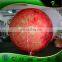 Inflatable 2 M Mars Planet with LED Light, Advertising Inflatable Tire Balloon, Floating Advertising Balloon for Sale