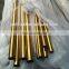 Polished Rosed Gold Color Stainless Steel Pipes for decor