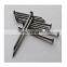 Heat treatment galvanized Q195 Polished Concrete Nail Factory Direct