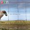 Hot dipped galvanized hinge joint wire mesh farm field fence for cattle sheep
