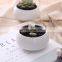 Home And Garden 2021 Wihte Simple Small Size Ceramic Round Bonsai Pot Garden Pots