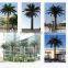 Communication tower telecom tower camouflaged tree tower bionic telecom artificial tree