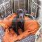 iron pet house,pet bed,dog house,dog bed
